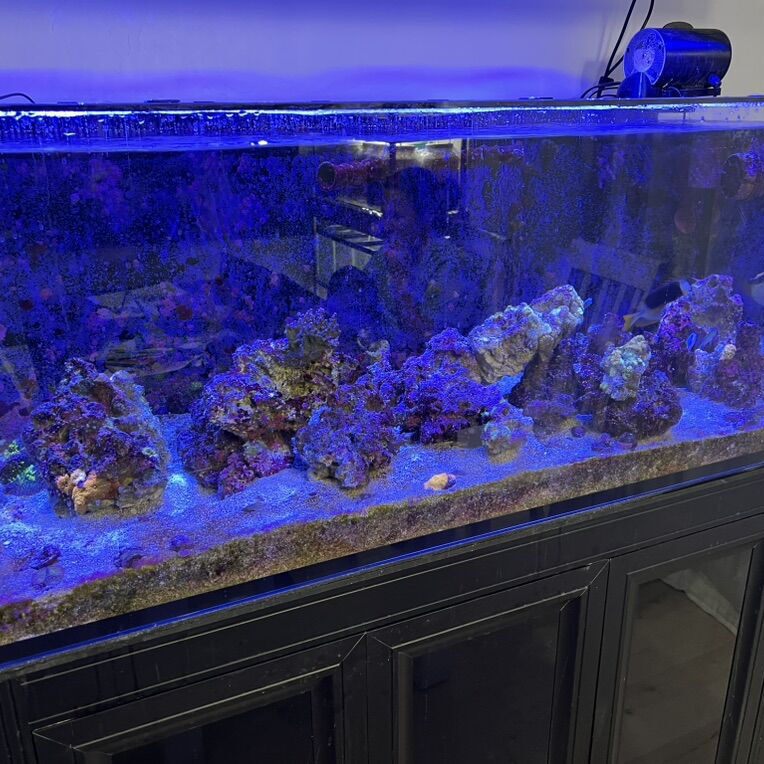 *BIG Price drop* Saltwater Aquarium, Equipment