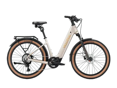 Velotric Discover M