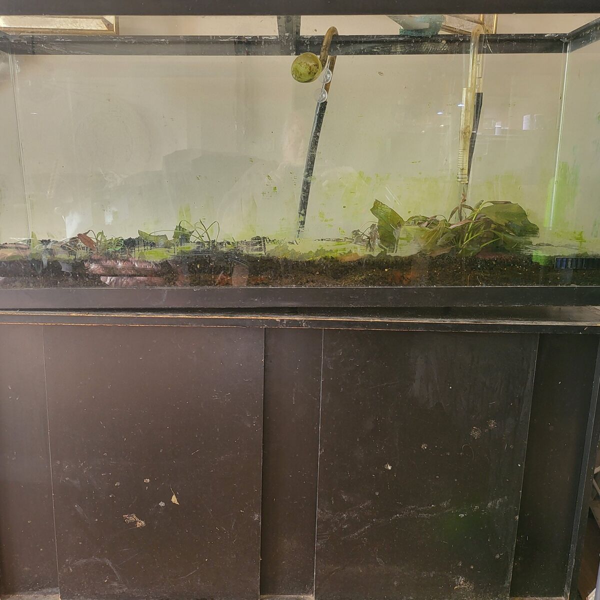 50 gallon tank and stand