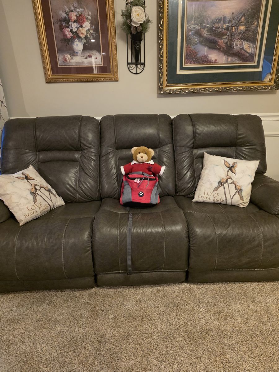 Noblepawz pet carrier backpack