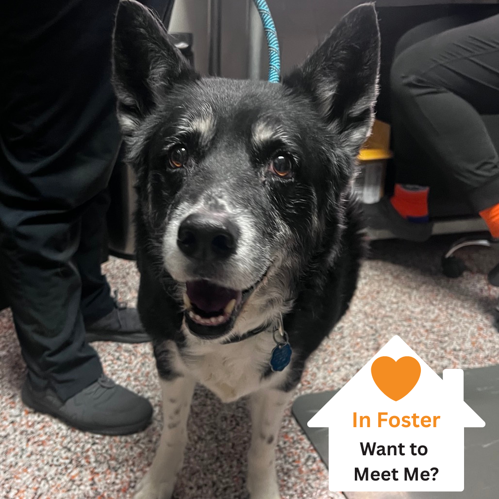 Hello my name is Tonita