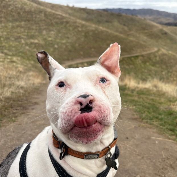 Hello my name is Kayak