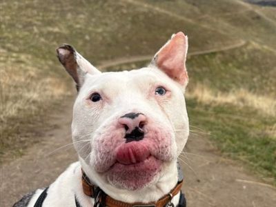 Hello my name is Kayak