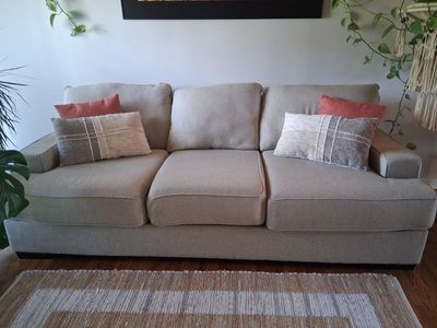 Large, Deep Cushion Sofa Sleeper