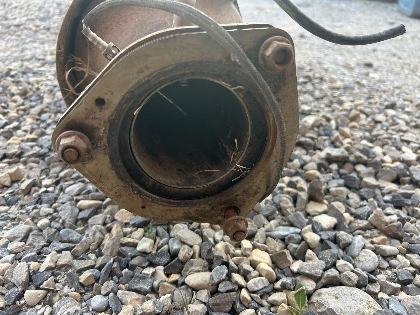 Main image 7