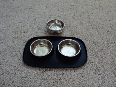 Puppy, Cat, Dog Bowl with Silacone feeding mat.