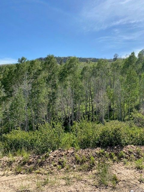 Main image 17