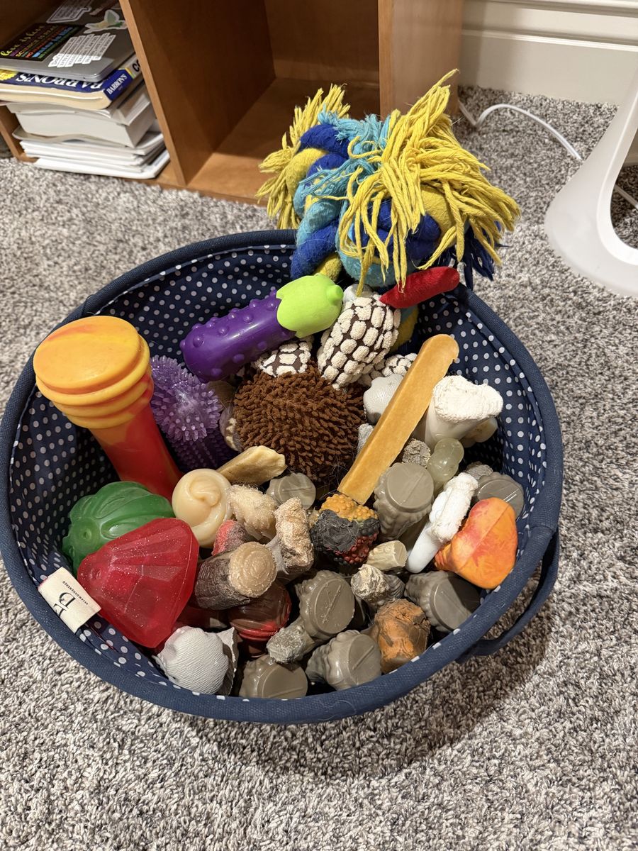 Free slightly used dog toys