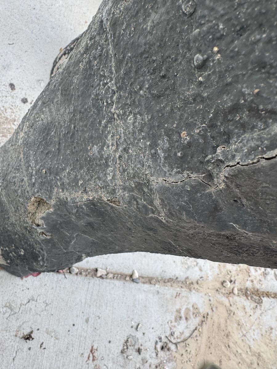 Main image 9