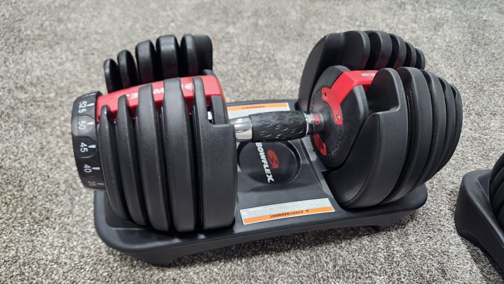 Bowflex SelectTech 552 Adjustable Dumbbells Set (2 Dumbbells, 5-52.5 lbs each)