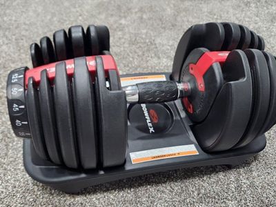 Bowflex SelectTech 552 Adjustable Dumbbells Set (2 Dumbbells, 5-52.5 lbs each)