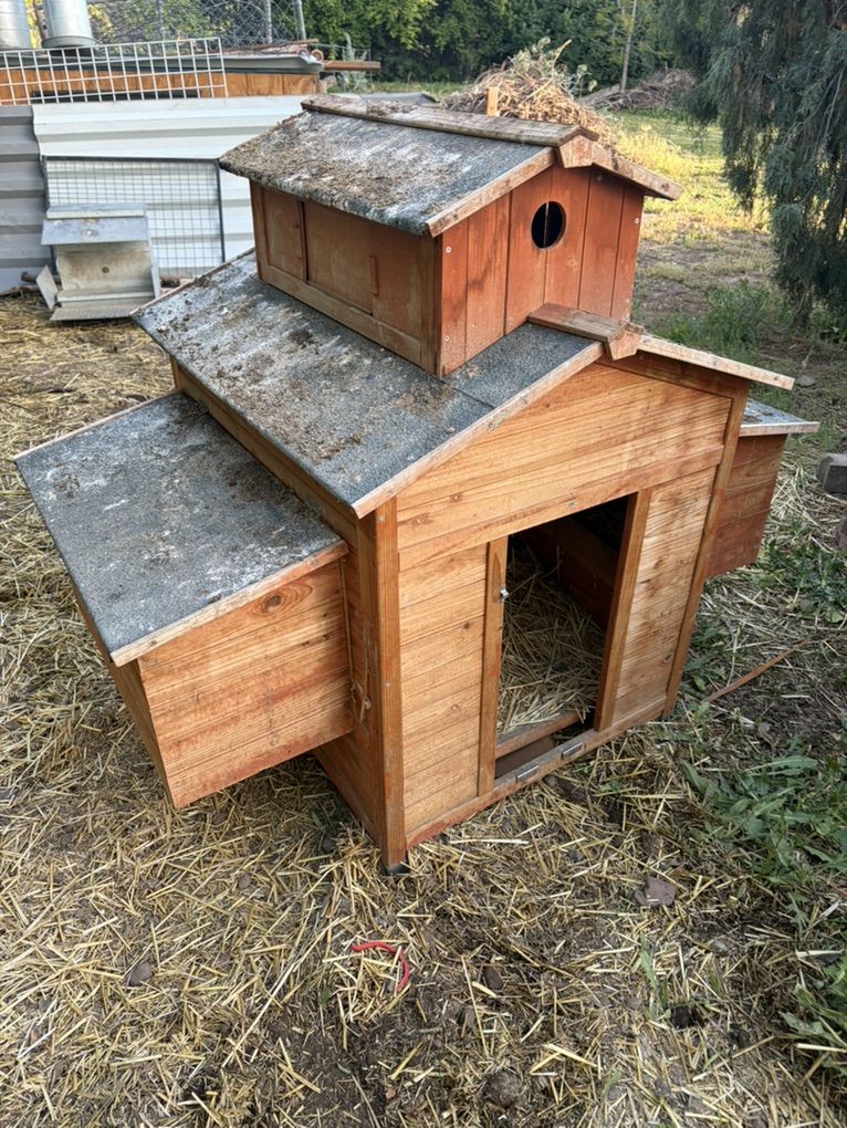 Chicken Coop