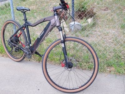 Easy Motion EVO 29er E-bike