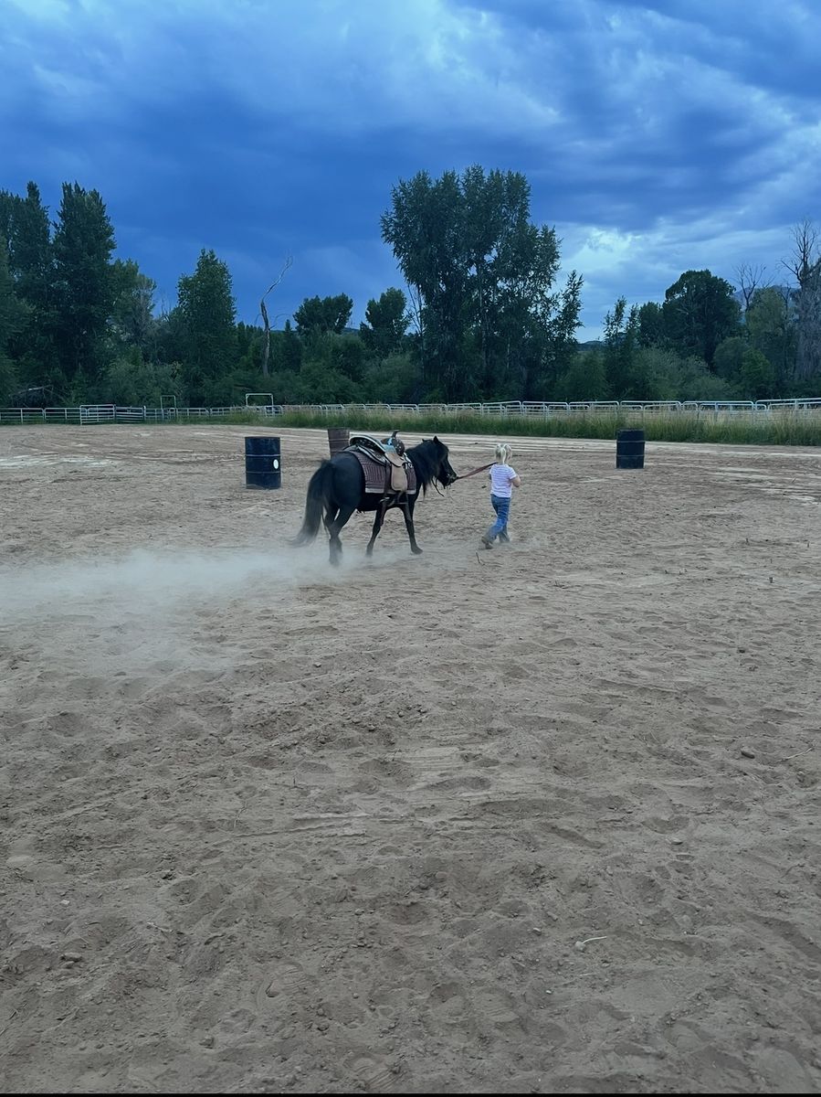 Pony