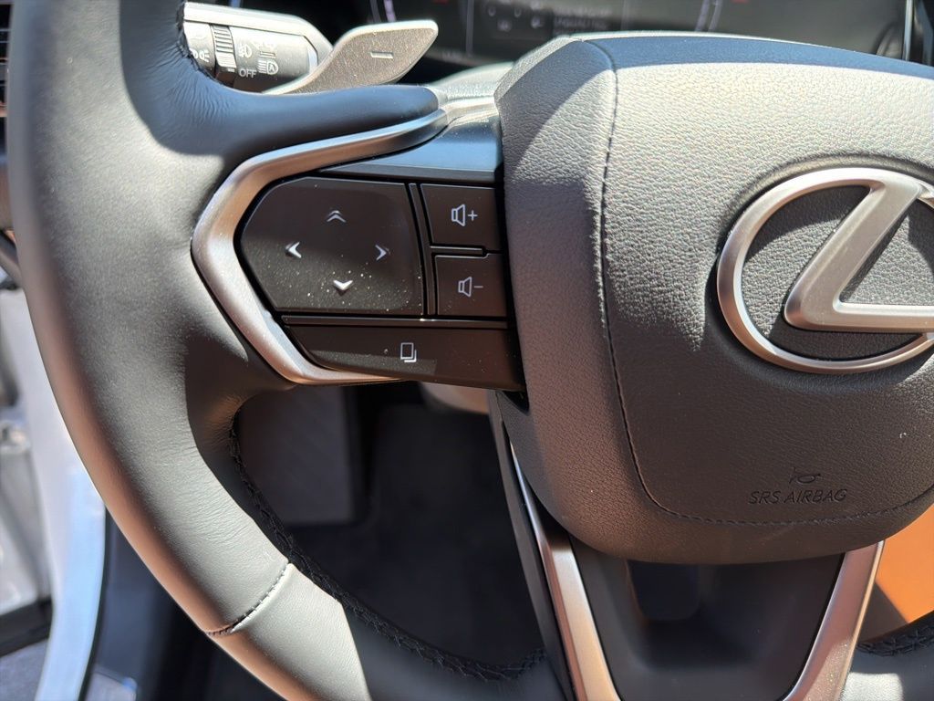 Main image 17