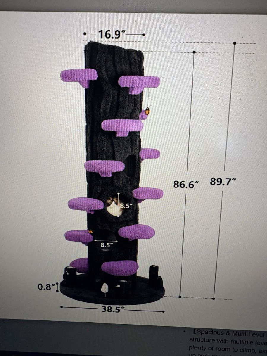 Main image 2