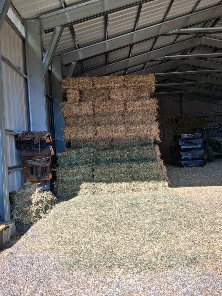Premium Horse Hay Bales - Fresh, High-Quality Feed for Livestock