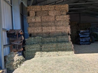 Premium Horse Hay Bales - Fresh, High-Quality Feed for Livestock