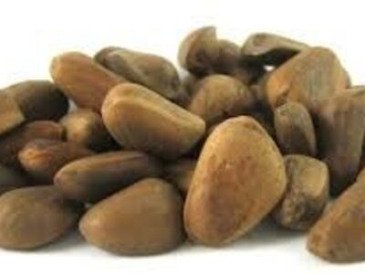 Fresh In Shell Pinenuts