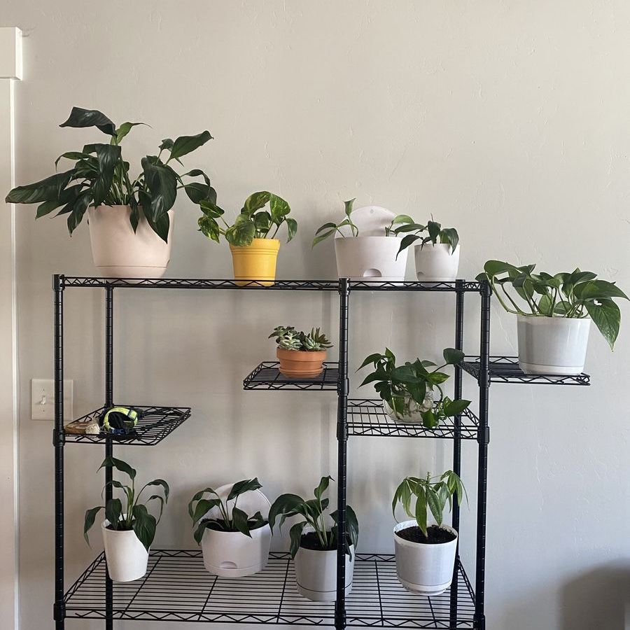 9 tier Plant shelf