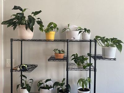 9 tier Plant shelf