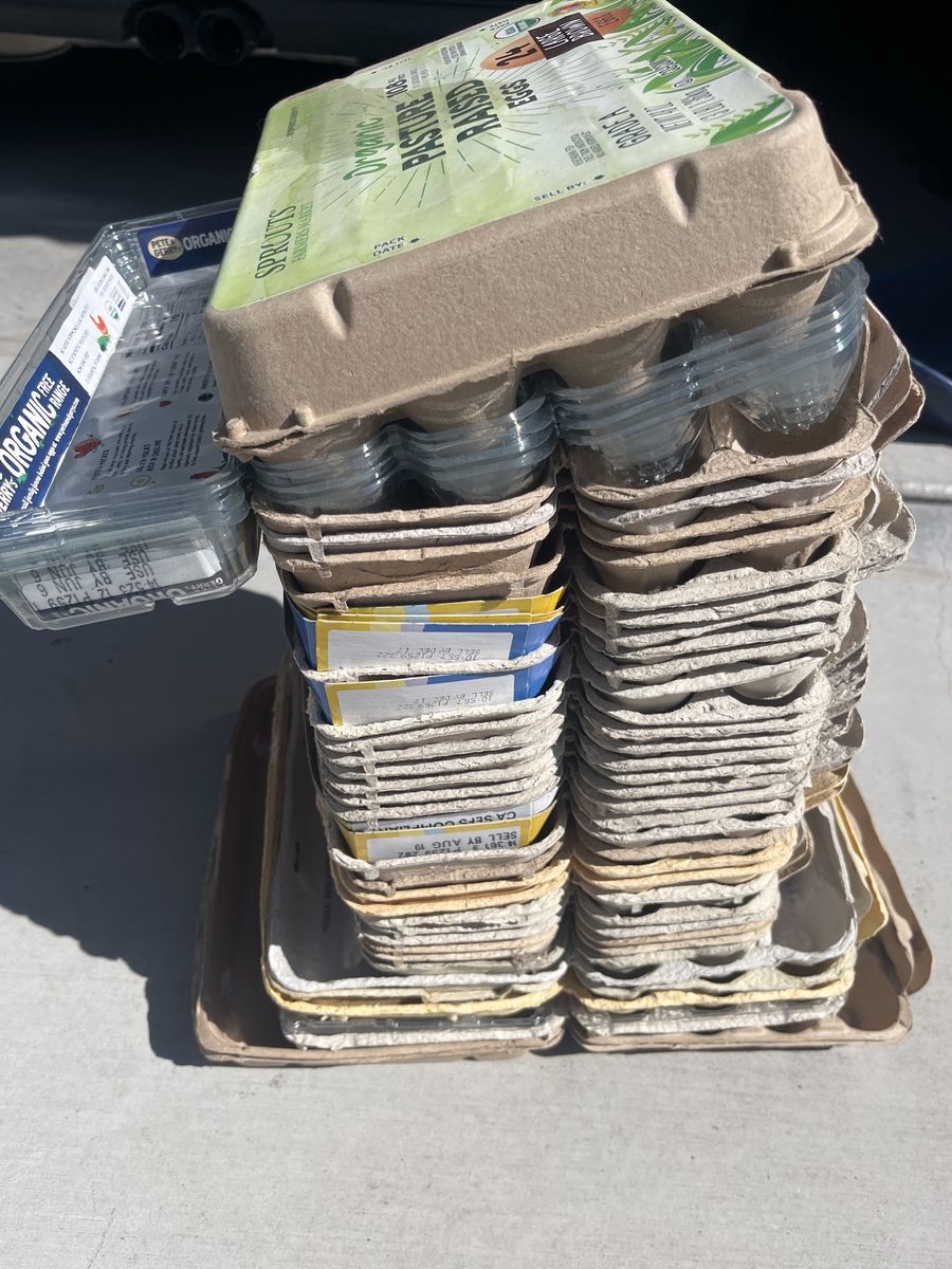 Egg cartons