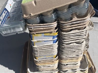 Egg cartons