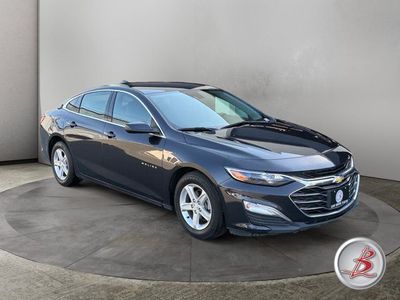 2022 Chevrolet Malibu LS Fleet