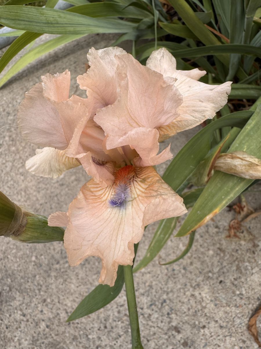 Main image 4