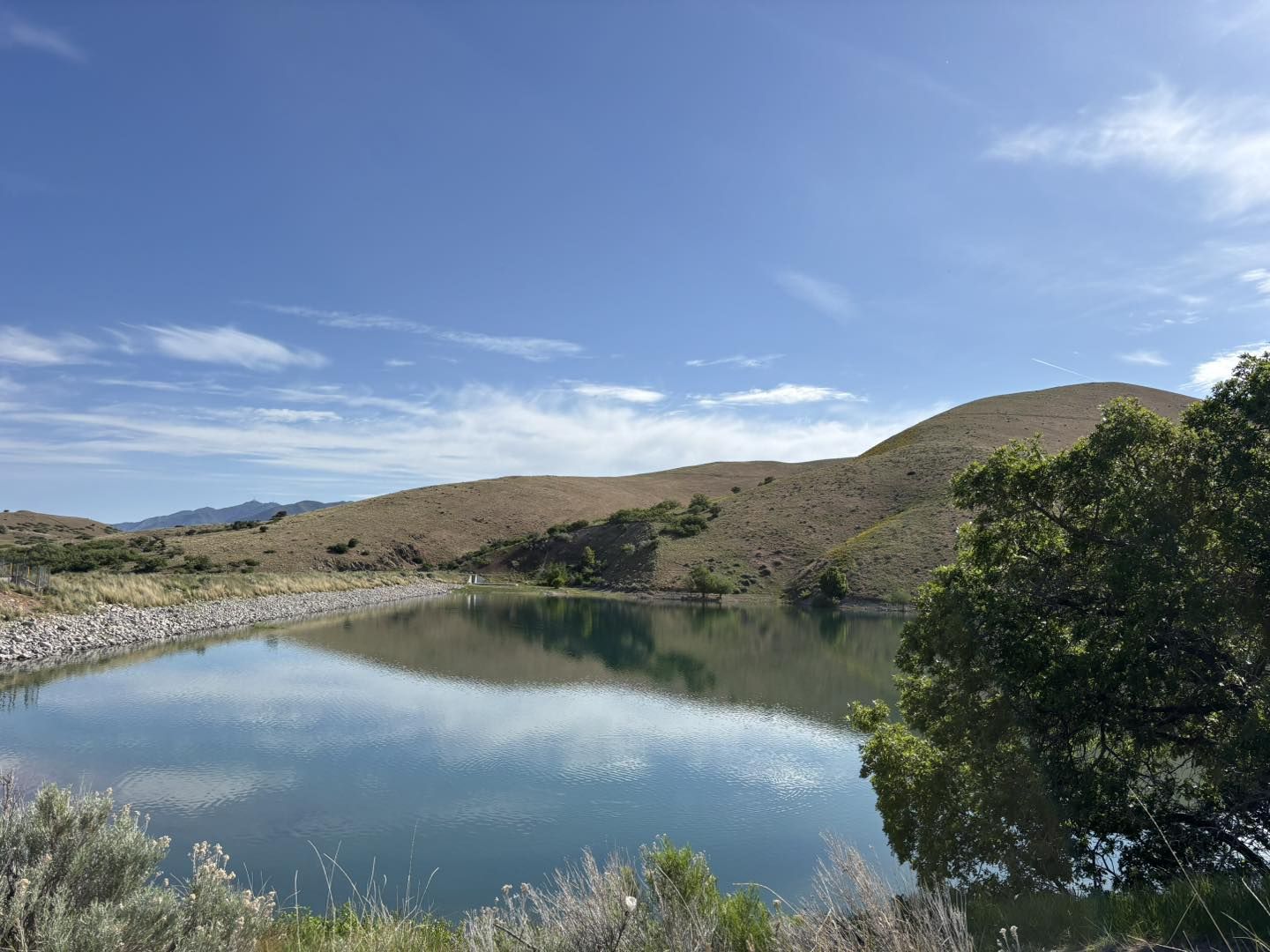 1 Settlement Canyon (Tooele) Water Irrigation Water Share