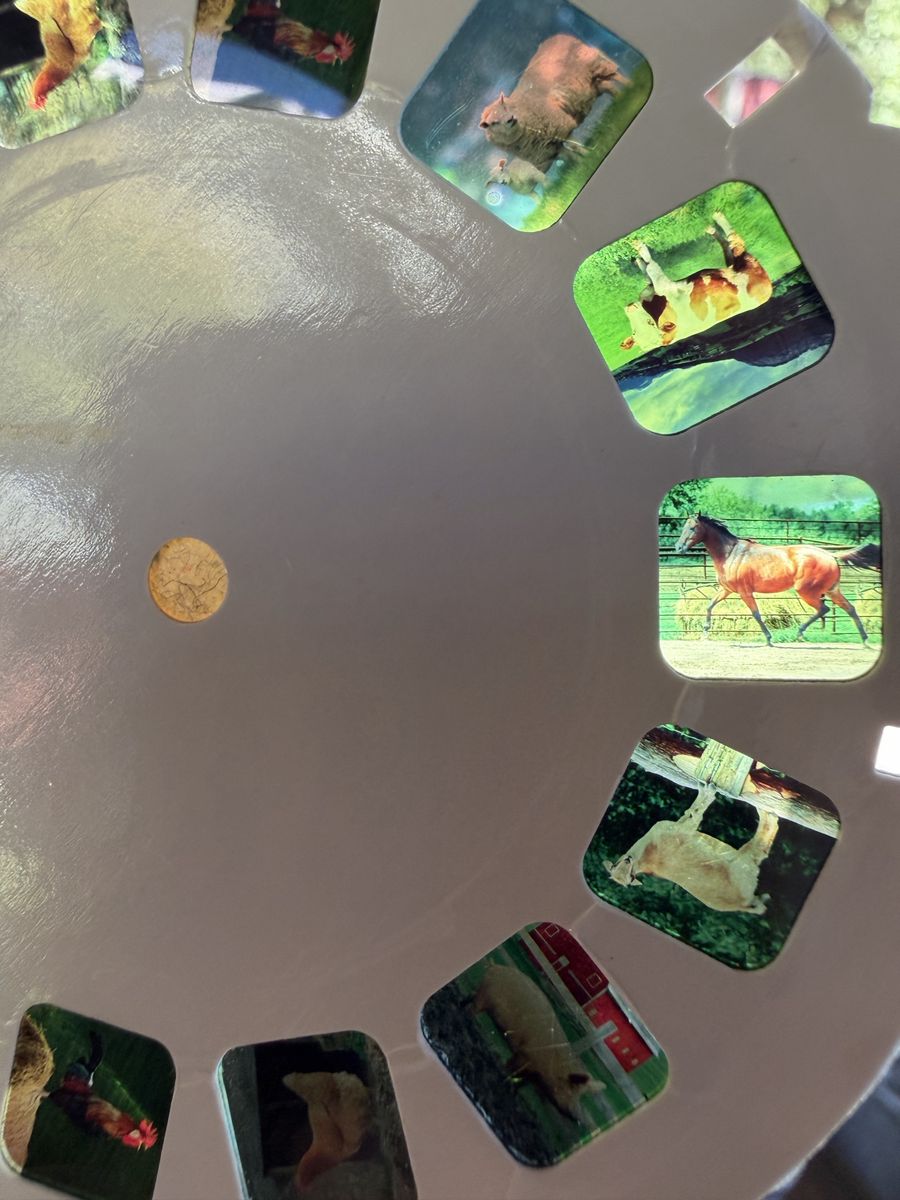 Main image 6
