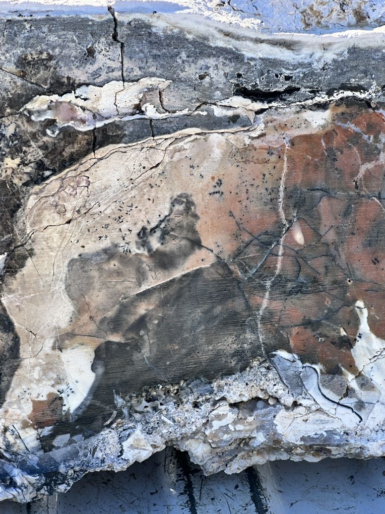 Lapidary Dream. Old Stock Tiffany Stone