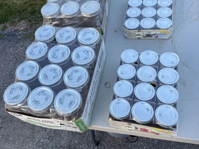 Fruit Jars. ( NEW )