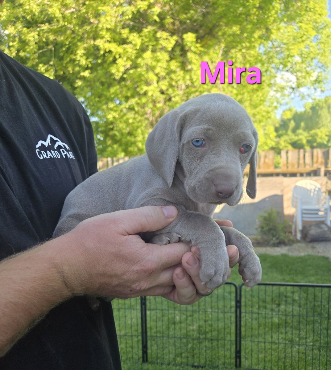 Main image 4