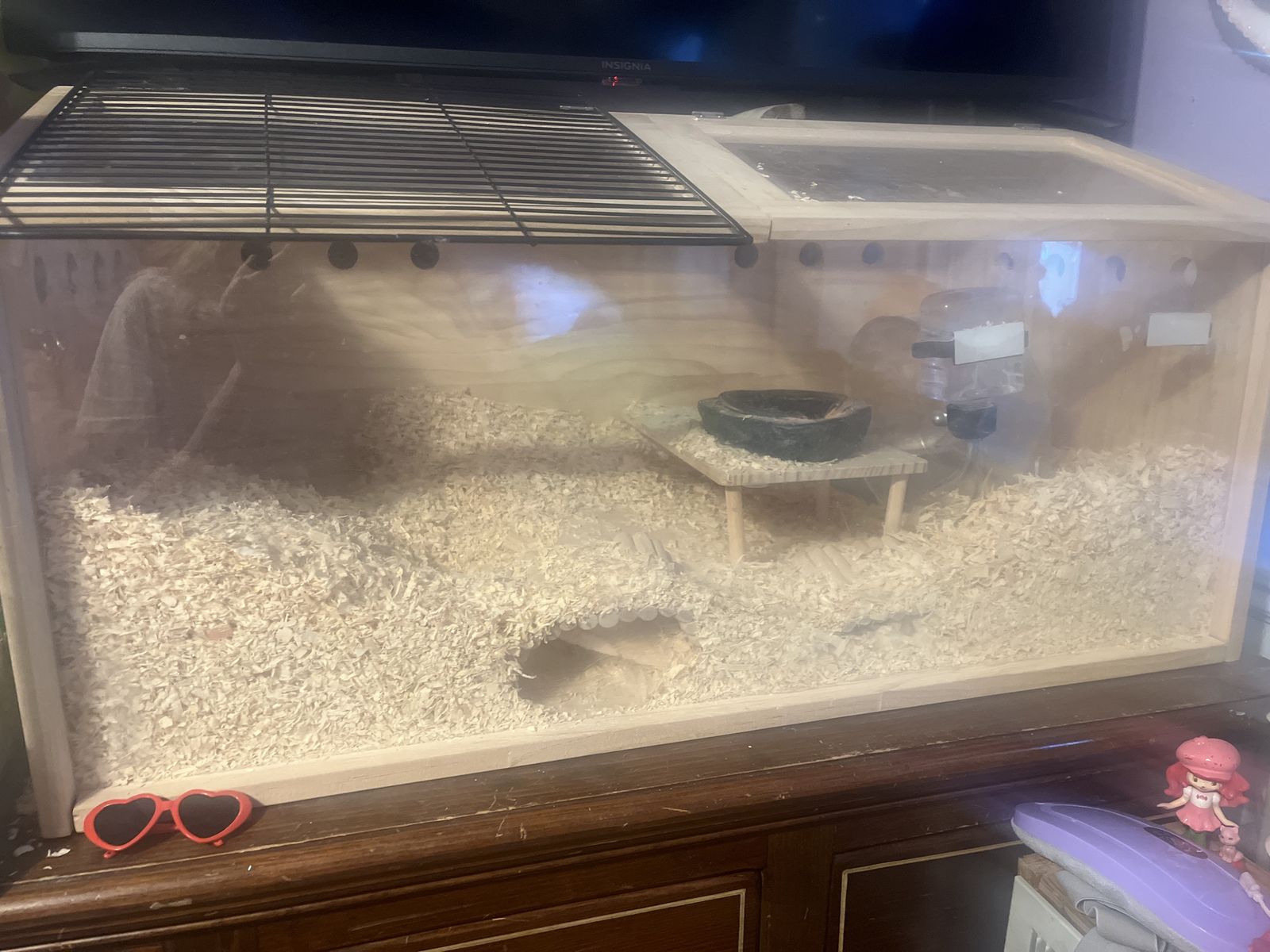 Gerbil with cage