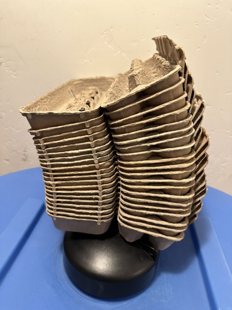 20 Clean Empty Egg Cartons