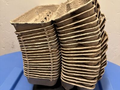 20 Clean Empty Egg Cartons