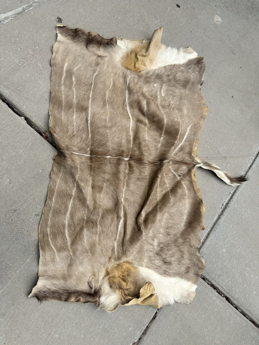 Natural Kudu Hide Real Animal Skin Leather Craft Material - Tan/White with Stripes
