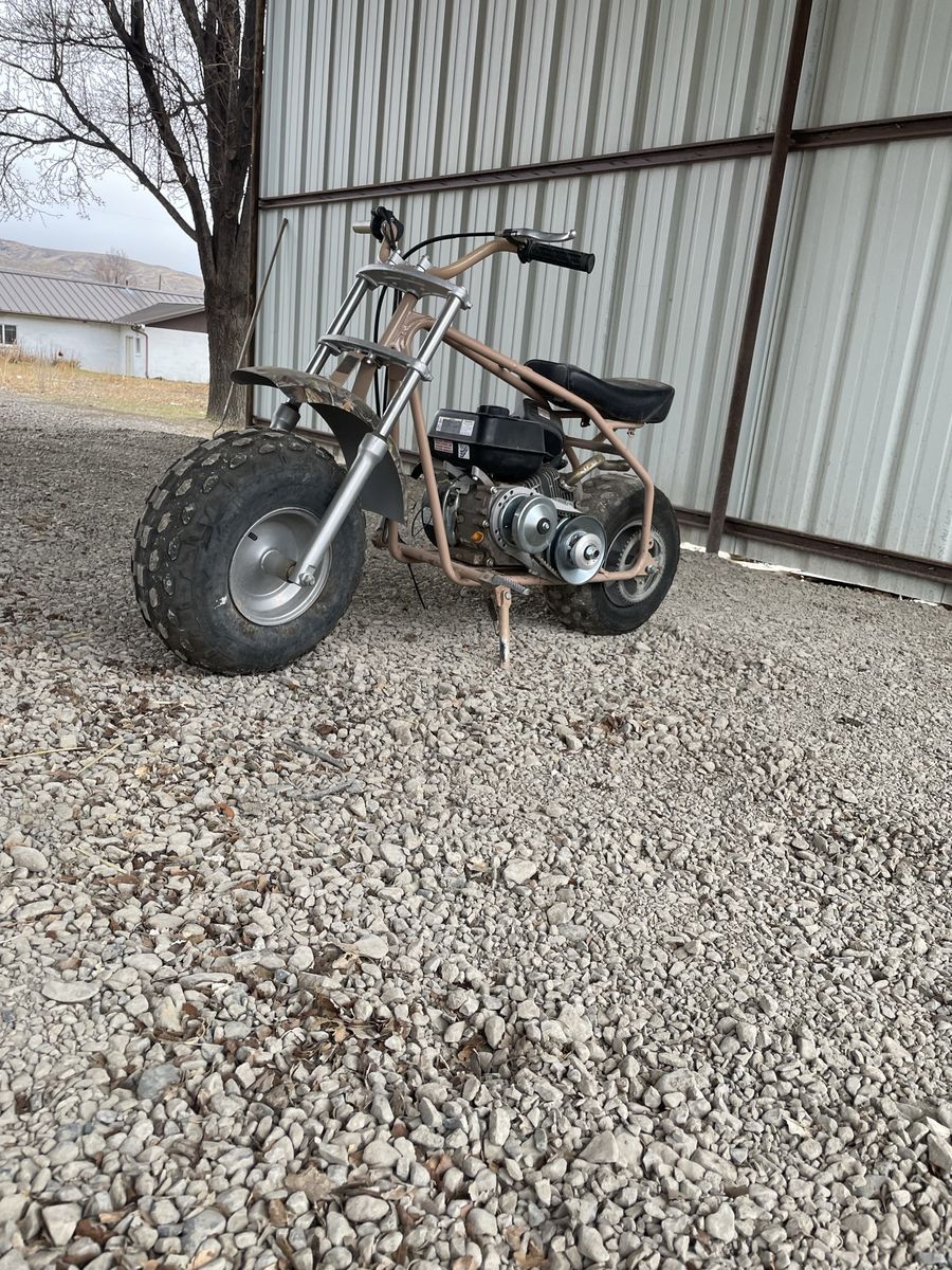 Tote goat Mini bike