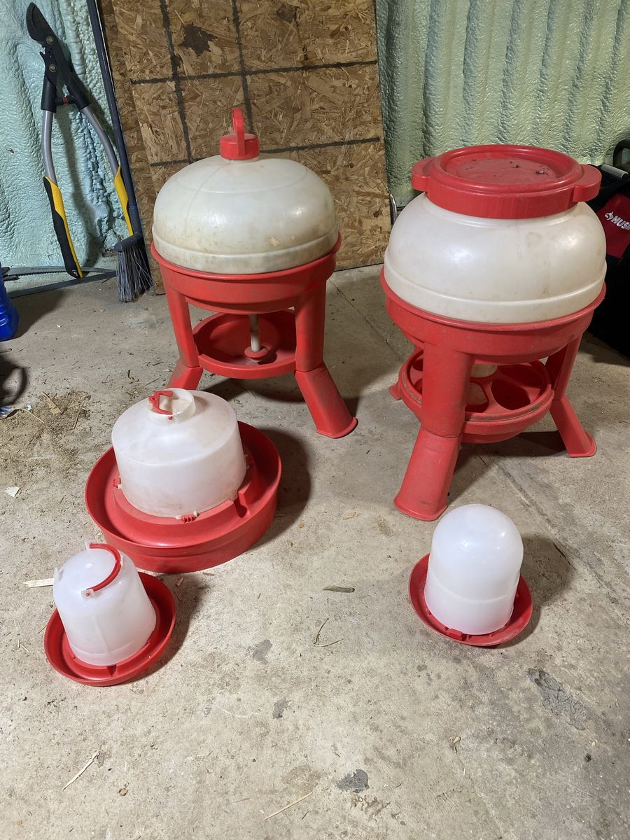 Chicken Feeders and Waterers