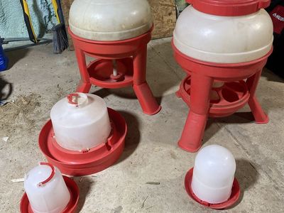 Chicken Feeders and Waterers
