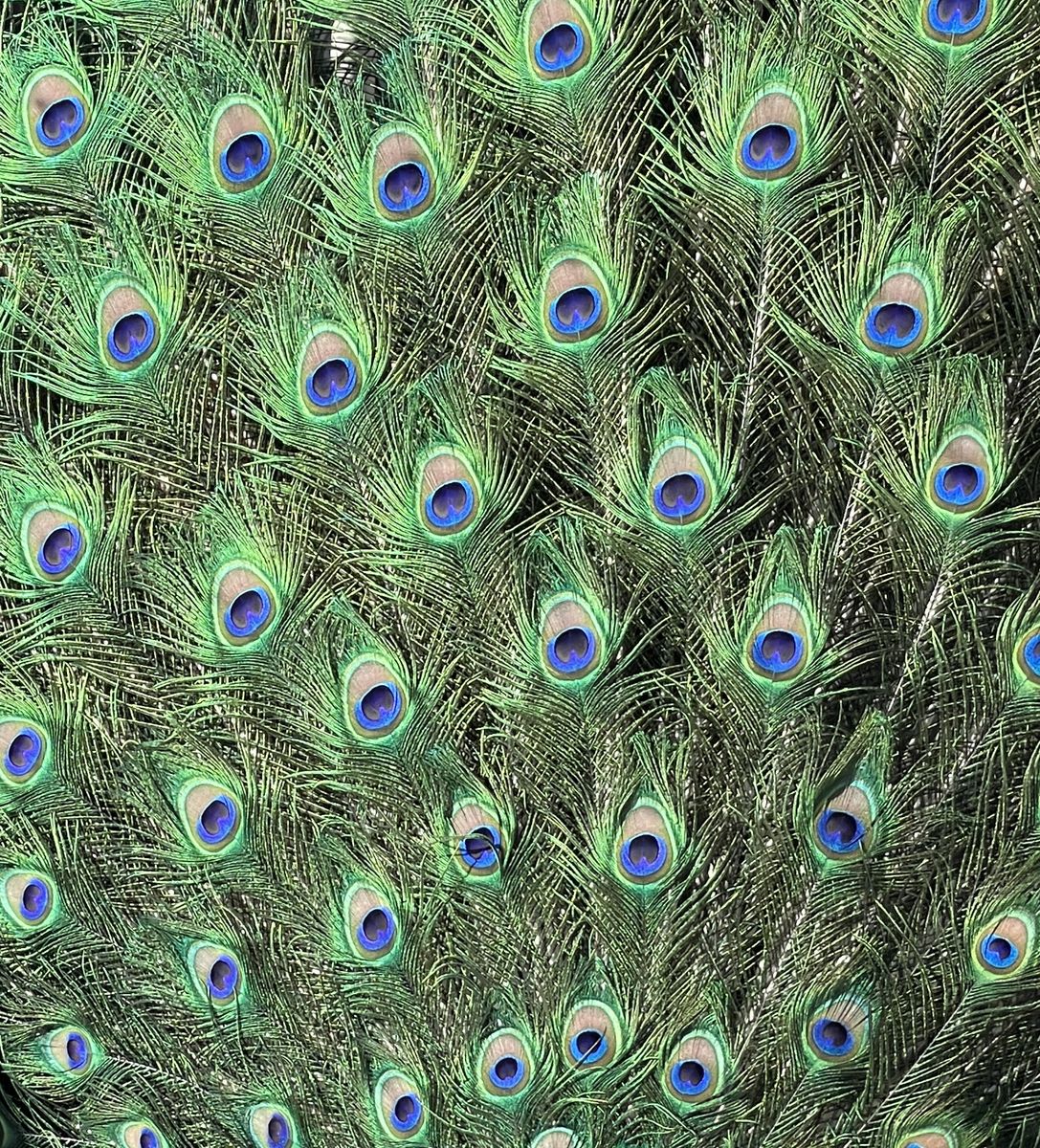 Main image 2