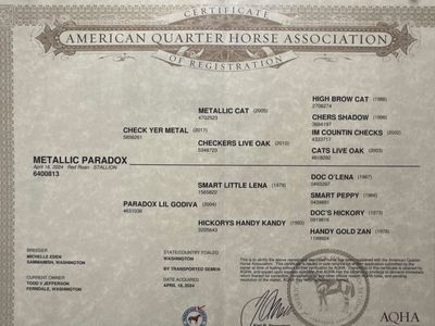 Aqha 2yo cutting Stallion
