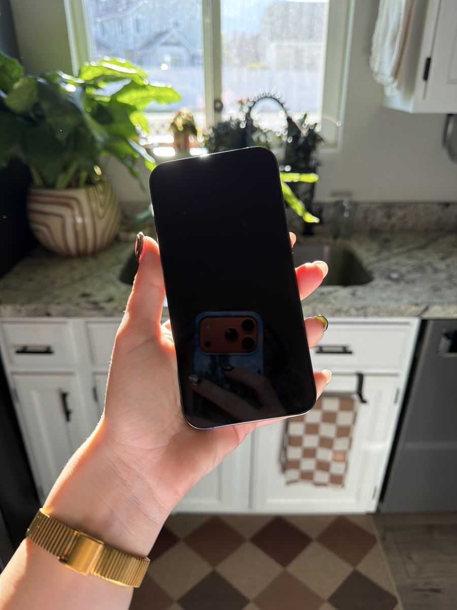iPhone 13 Pro, Graphite, 256 GB, Unlocked