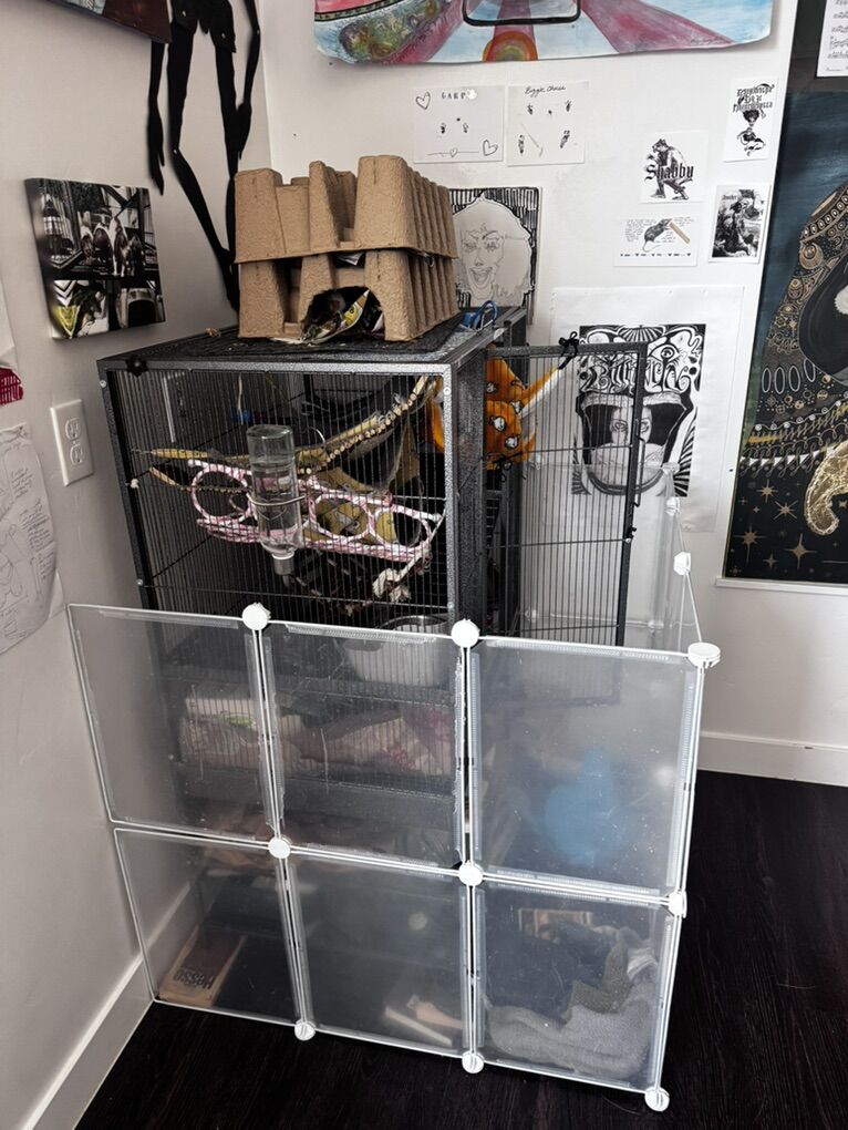 Rodent Cage And Accessories