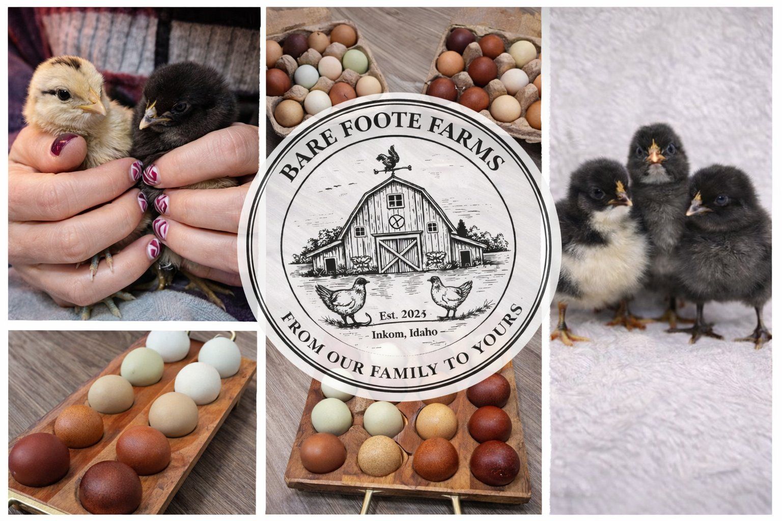 Bare Foote Farms