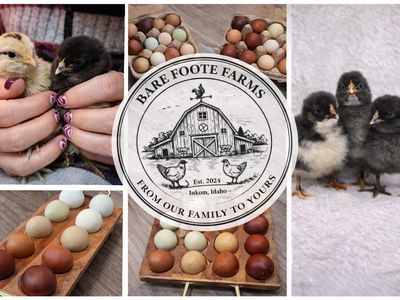 Bare Foote Farms