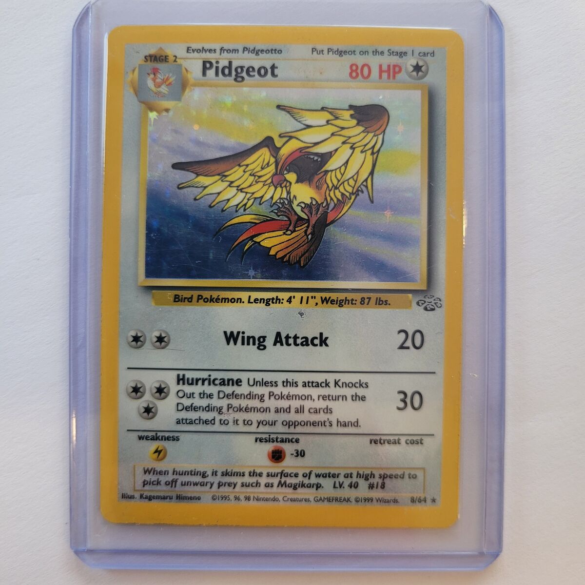 1999 Pokémon Card RARE Holo Pidgeot