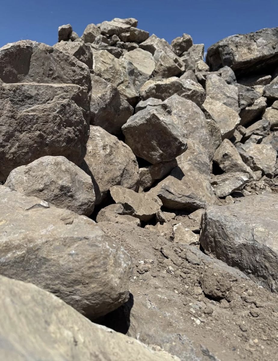 Main image 5