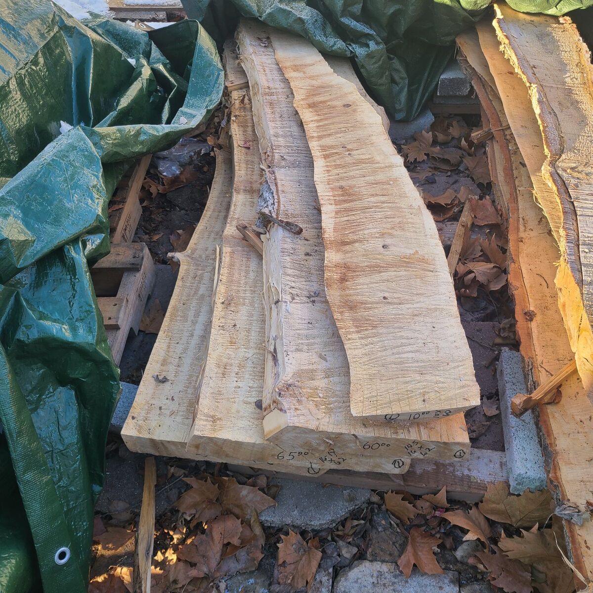 (#1) Elm Wood Slabs-$5 Board Foot